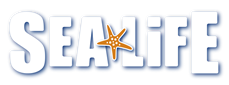 Visit Sealife
